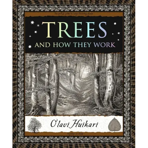 Trees and How They Work - Paperback