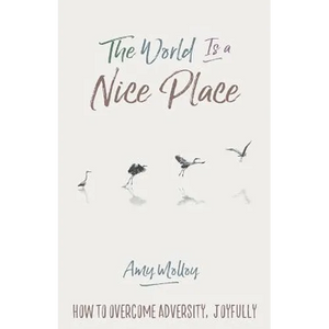 The World Is a Nice Place: How to Overcome Adversity, Joyfully - Paperback