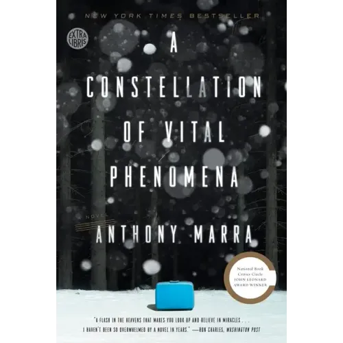 A Constellation of Vital Phenomena - Paperback