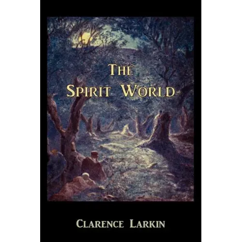 The Spirit World - Paperback