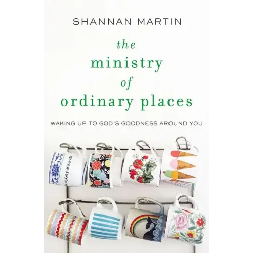 The Ministry of Ordinary Places: Waking Up to God's Goodness Around You - Paperback