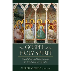 The Gospel of the Holy Spirit: Meditation and Commentary on the Acts of the Apostles - Paperback