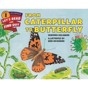 From Caterpillar to Butterfly - Paperback