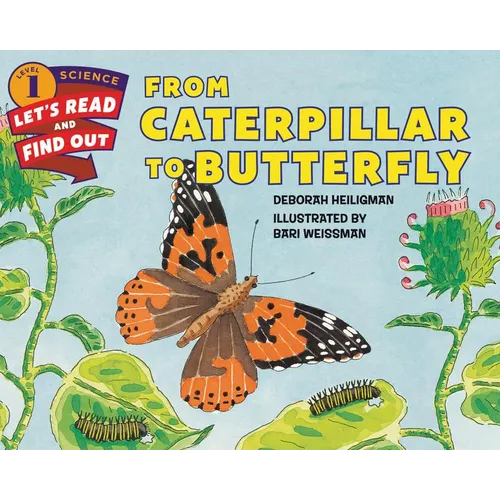 From Caterpillar to Butterfly - Paperback