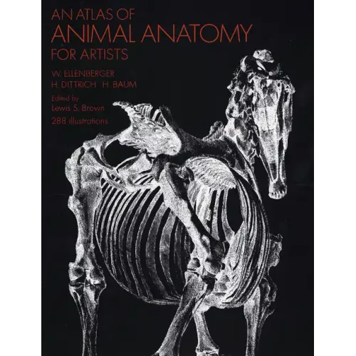 An Atlas of Animal Anatomy for Artists - Paperback