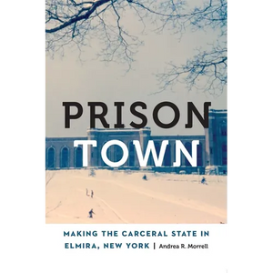 Prison Town: Making the Carceral State in Elmira, New York - Paperback