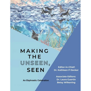 Making the Unseen, Seen - Paperback