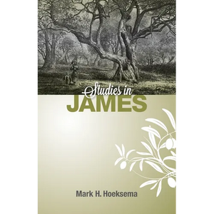 Studies in James - Paperback