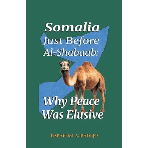 Somalia Just Before Al-Shabaab: Why Peace Was Elusive - Paperback