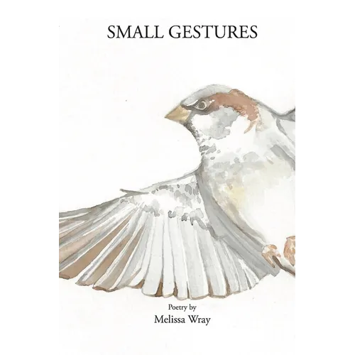 Small Gestures - Paperback