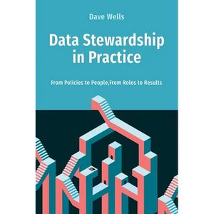 Data Stewardship in Practice: From Policies to People, From Roles to Results - Paperback