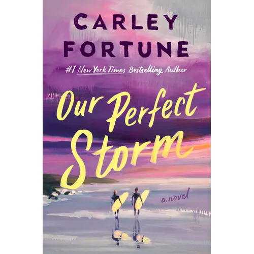 Our Perfect Storm - Hardcover