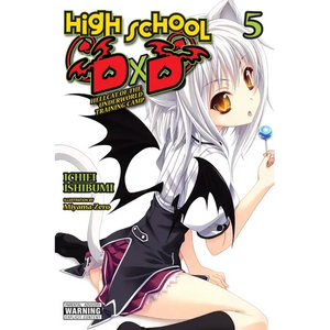 High School DXD, Vol. 5 (Light Novel): Hellcat of the Underworld Training Camp Volume 5 - Paperback