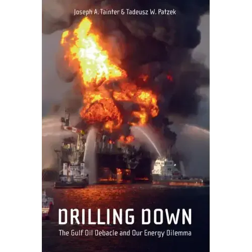 Drilling Down: The Gulf Oil Debacle and Our Energy Dilemma - Paperback