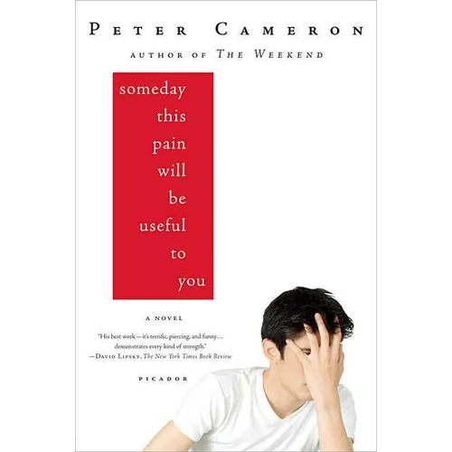 Someday This Pain Will Be Useful to You - Paperback