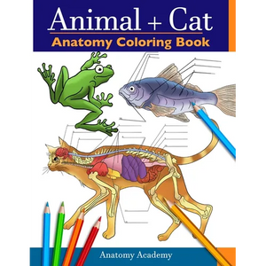 Animal & Cat Anatomy Coloring Book: 2-in-1 Compilation Incredibly Detailed Self-Test Veterinary & Feline Anatomy Color workbook - Paperback