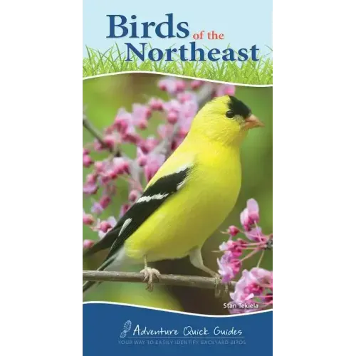 Birds of the Northeast: Your Way to Easily Identify Backyard Birds - Spiral