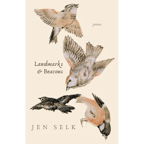 Landmarks and Beacons: poems - Paperback