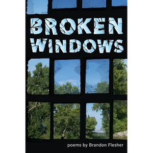 Broken Windows - Paperback