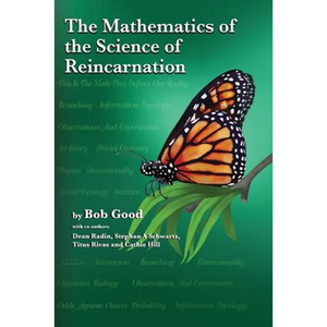 The Mathematics of the Science of Reincarnation: The Matrix of Consciousness - Paperback