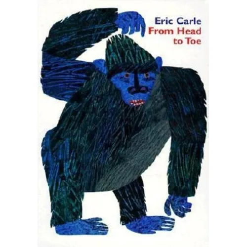 From Head to Toe - Board Book