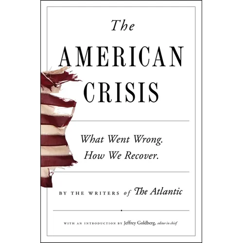 The American Crisis: What Went Wrong. How We Recover. - Paperback