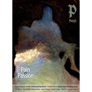 Plough Quarterly No. 35 - Pain and Passion - Paperback