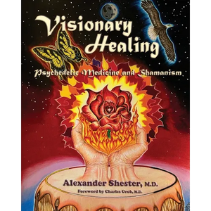 VISIONARY HEALING Psychedelic Medicine and Shamanism - Paperback