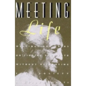 Meeting Life: Writings and Talks on Finding Your Path Without Retreating from Society - Paperback