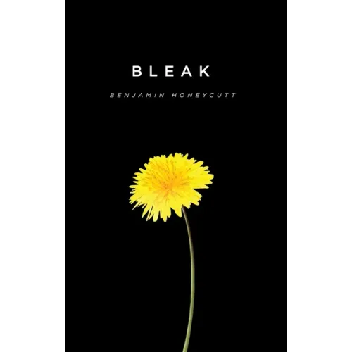 Bleak: A Story of Bullying, Rage and Survival