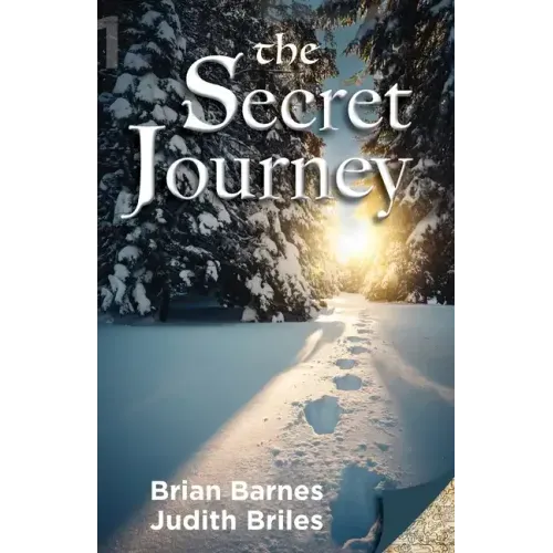 The Secret Journey - Paperback