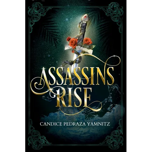 Assassins Rise - Paperback