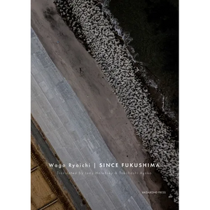 Since Fukushima - Paperback