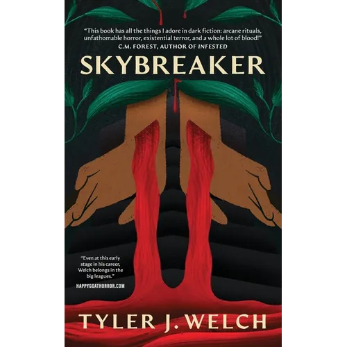 Skybreaker - Paperback