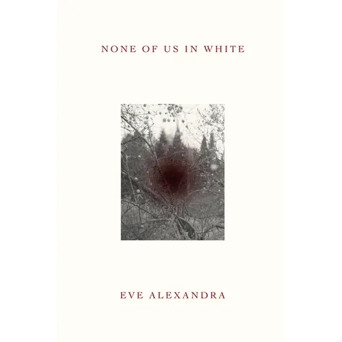 None of Us in White - Paperback