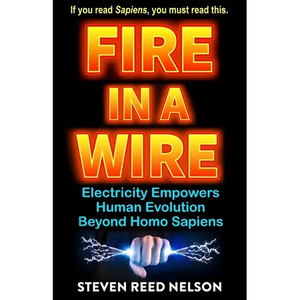 Fire in a Wire: Electricity Empowers Human Evolution Beyond Homo Sapiens - Paperback