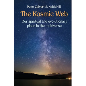 The Kosmic Web: Our spiritual and evolutionary place in the multiverse - Paperback