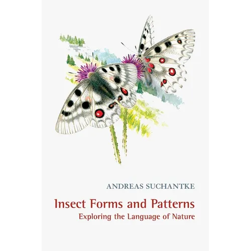 Insect Forms and Patterns Exploring the Language of Nature - Paperback