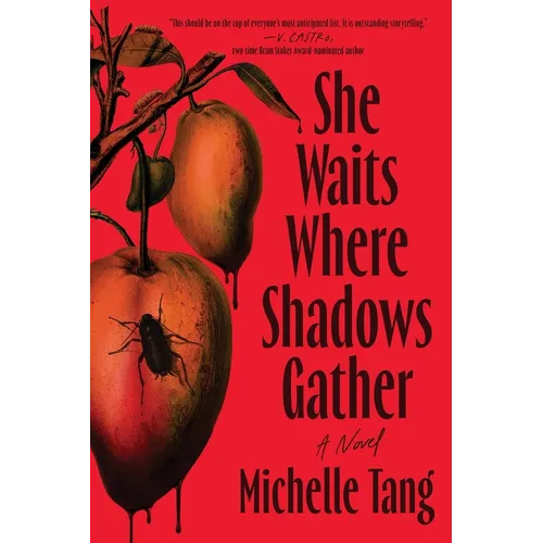 She Waits Where Shadows Gather - Paperback