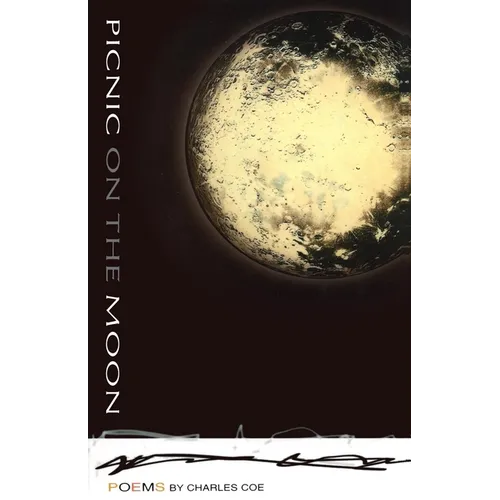 Picnic on the Moon - Paperback