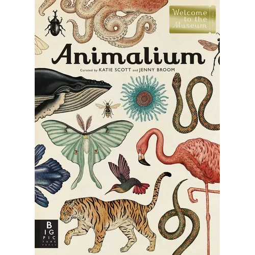 Animalium: Welcome to the Museum - Hardcover