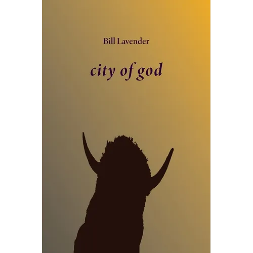 city of god - Paperback