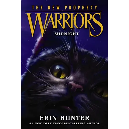 Midnight - Paperback