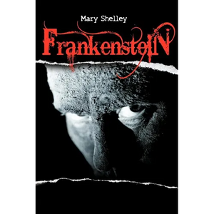 Frankenstein or the Modern Prometheus - Paperback