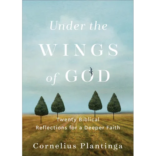 Under the Wings of God: Twenty Biblical Reflections for a Deeper Faith - Paperback