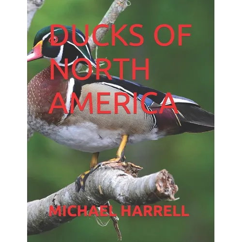 Ducks of North America - Paperback