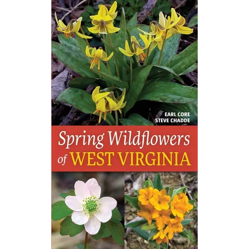 Spring Wildflowers of West Virginia - Paperback