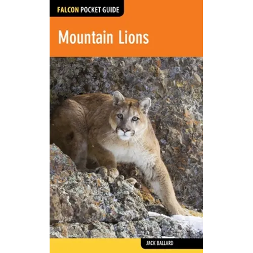 Mountain Lions - Paperback