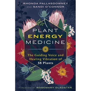 Plant Energy Medicine: The Guiding Voice and Healing Vibration of 58 Plants - Paperback