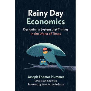 Rainy Day Economics: Designing a System that Thrives in the Worst of Times - Paperback